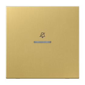 JUNG Двойная клавиша на гостиничный выключатель, комнатный модуль, латунь Classic