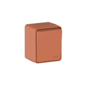 Systeme Electric AtlasDesign Profi54 Наруж Терракотовый Выключатель 1-клавишный с самовозвратом 10 АХ