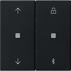 Gira Накладка управления жалюзи  с BT System 3000