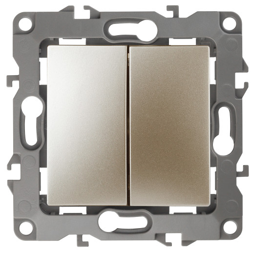 12-1004-04 ЭРА Выключатель двойной, 10АХ-250В, IP20, без м.лапок, Эра12, шампань (10/100/2500)