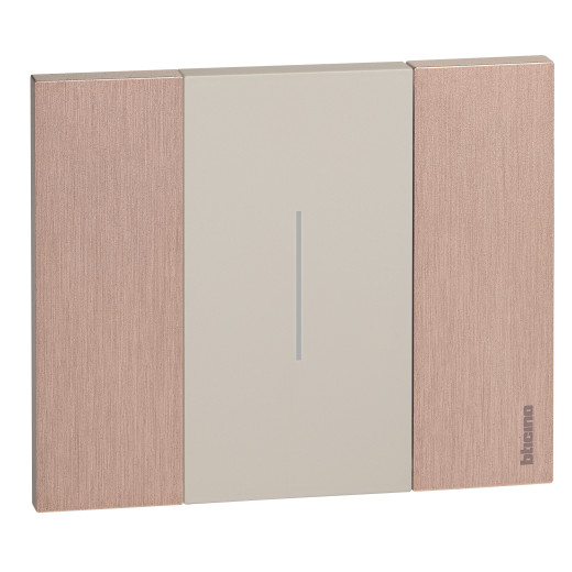 LIVING NOW. Декоративная рамка 2 модуля.Цвет 