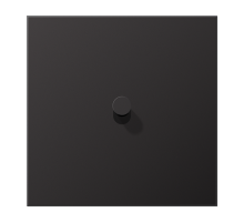 JUNG LS1912 Dark Центральная плата, 1 пост, 1 тумблер, конус; метал. исполнение