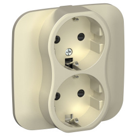 FLITE Роз. 2-я с з/к/ш б/к 16А РСш12-1-А-ФлШ шам. IEK