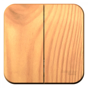 Systeme Electric Blanca наруж Ясень Выключатель 2-клавишный 10А, 250B, изолир. пластина