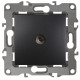 12-3101-05 ЭРА Розетка TV одиночная, IP20, Эра12, антрацит (10/100/2500)