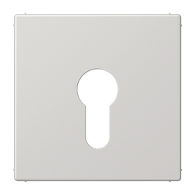 JUNG Крышка к выключателю для замочного механизма светло-серая