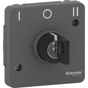 Schneider Electric Mureva Styl Антрацит Переключатель с ключом на 3 положения, 3А, IP55