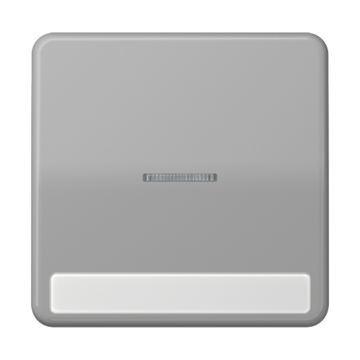 Клавиша с окошком для выключателя с подсветкой и полем для надписи, серая