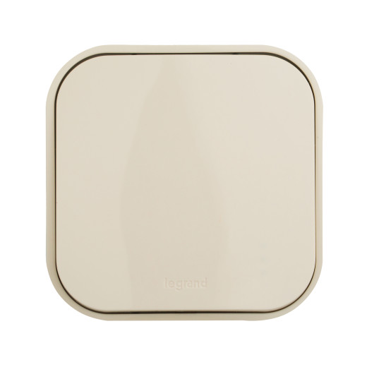Переключатель одноклавишный - Legrand Quteo - IP20 10А 250В винтовые зажимы накладной монтаж - слоновая кость