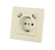 TDM Розетка 2П+З 16А 250В + 2 USB порта 2,1А 5В сл. кость 