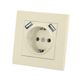 TDM Розетка 2П+З 16А 250В + 2 USB порта 2,1А 5В сл. кость 