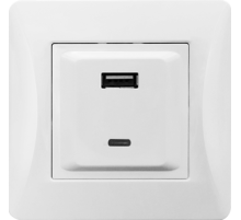 Розетка 2xUSB A/C, 125-250V (белый)