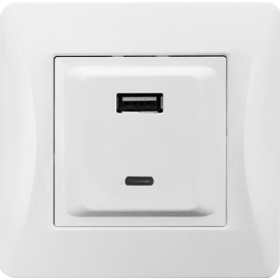 Розетка 2xUSB A/C, 125-250V (белый)