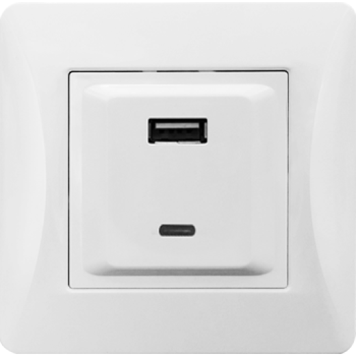 Розетка 2xUSB A/C, 125-250V (белый)