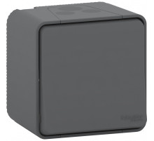 Schneider Electric Mureva Styl наруж Антрацит Переключатель 2-полюсный, IP55
