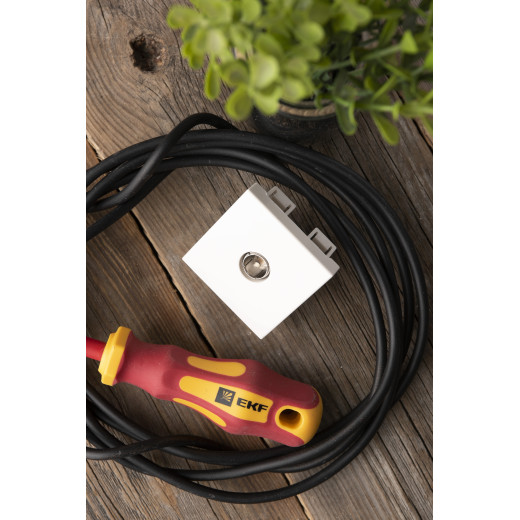 Розетка ТВ, 2 модуля EKF