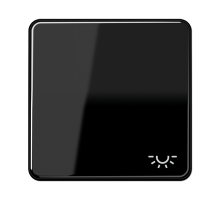 JUNG CD 500/CD plus Черная Клавиша 1-ая с символом ОСВЕЩЕНИЕ