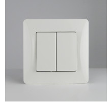 Выключатель двухклавишный, 10А, 220-250V (белый)