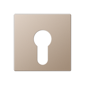 JUNG Крышка для выключателя с замком шампань