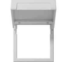 Gira Монтажная рамка с крышкой