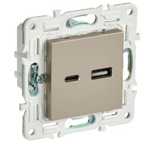 IEK SKANDY Шампань Розетка USB A+C 3,1А SK-R14Sh