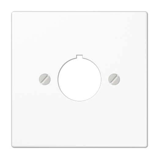 Крышка для установки специальных изделий Ø22,5 мм с несущим каркасом, белая