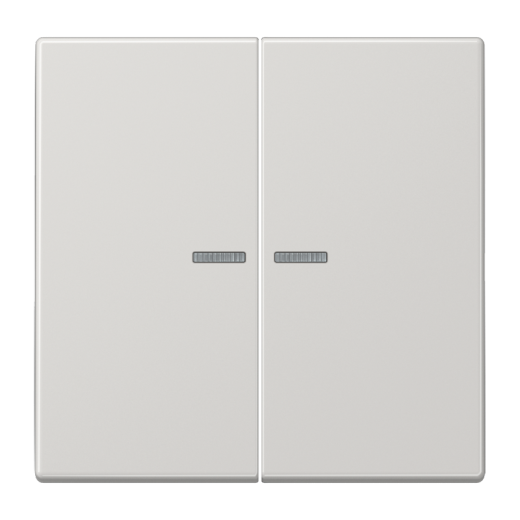 Двойная клавиша с окошками для балансирных механизмов выключателей (кнопок), в комплекте с CD95HP (крепежный элемент), возможно IP44, дюропласт, светло-серый, LS990