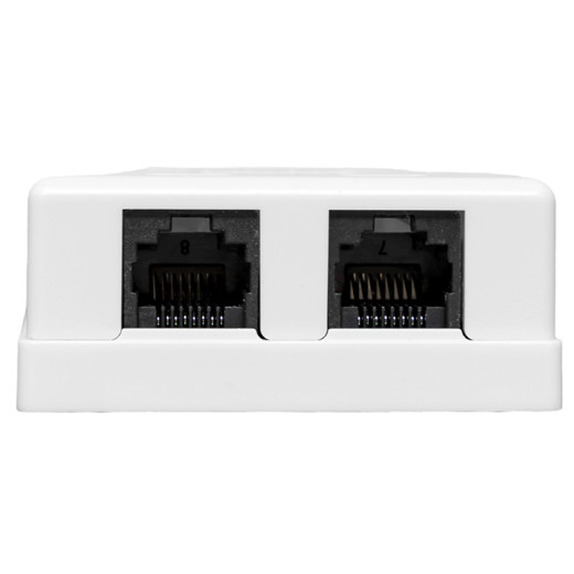Розетка настенная TERACOM Cat.5E неэкранированная 2 порта RJ-45 Dual IDC белая