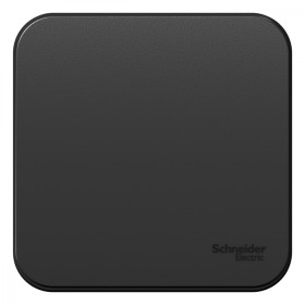 Systeme Electric Blanca наруж Антрацит Выключатель 1-клавишный, 10А, 250B