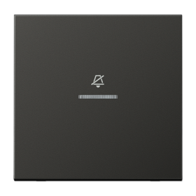 JUNG Двойная клавиша на гостиничный выключатель, комнатный модуль, антрацит