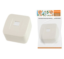 TDM Розетка компьютерная (RJ-45) открытой установки IP20, сл. кость 