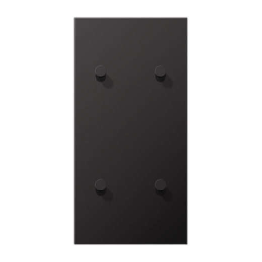 Центральная плата, 2 поста, для вертикальной установки, тумблеры 2+2,конус, металлическое исполнение, Dark, серия LS