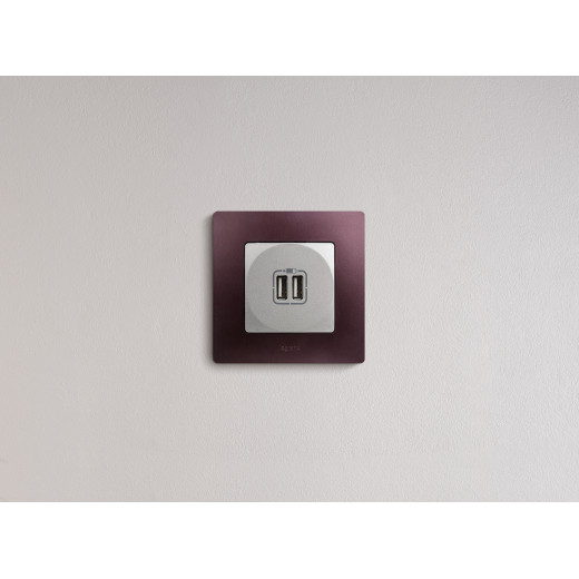 Зарядное устройство USB тип А / тип А - Legrand Etika - 3000мА 15Вт - алюминий