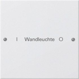 Gira Набор клавиш 1-местный,  ГРАВИРОВКА