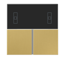 JUNG крышка для Room Controller, латунь Classic