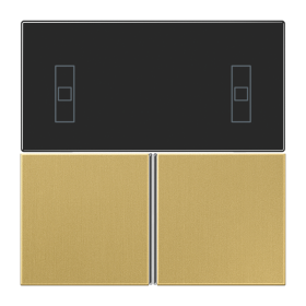 JUNG крышка для Room Controller, латунь Classic