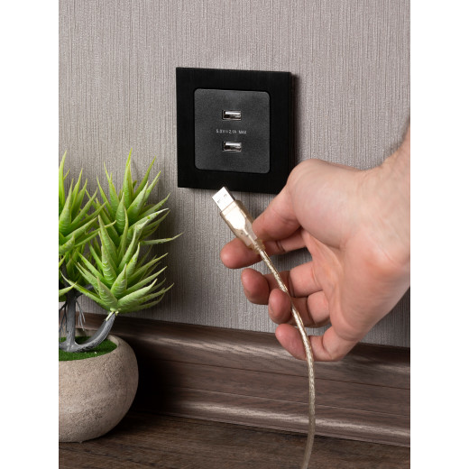 Стокгольм Механизм Розетки USB 2-местной 2,1А винтовые клеммы черный EKF PROxima