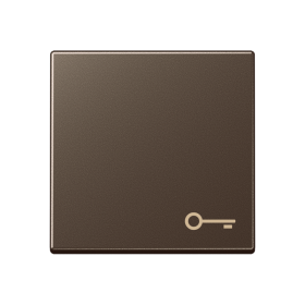 JUNG Клавиша с символом 