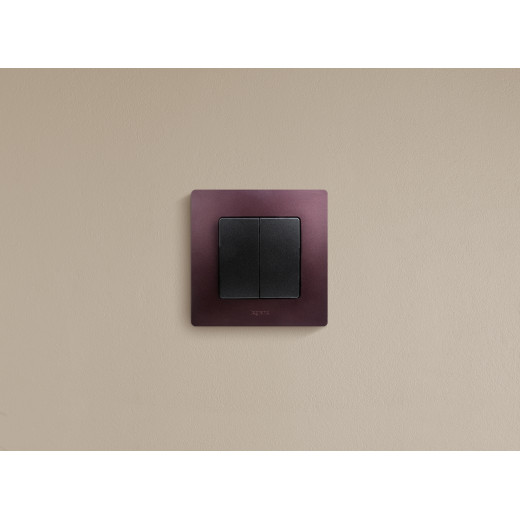 Выключатель двухклавишный - Legrand Etika - 10А 250В безвинтовые зажимы - антрацит