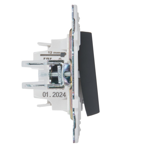 SKANDY Выключ. 1-кл. прох. 10А SK-V02G граф. IEK