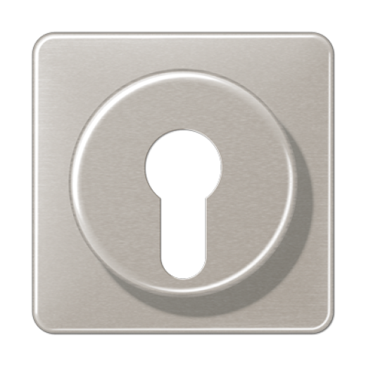 Крышка для выключателя с замком, платина