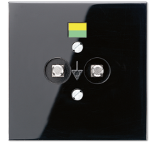 JUNG Розетка штепсельная для выравнивания потенциалов чёрная