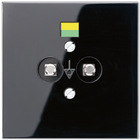 JUNG Розетка штепсельная для выравнивания потенциалов чёрная
