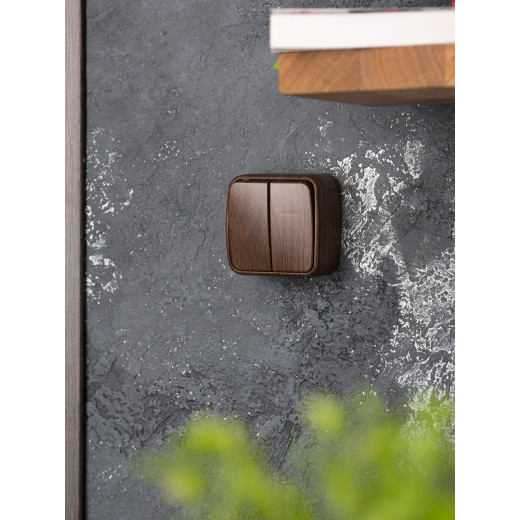 Выключатель 2-клавишный ОП Минск 10А тёмное дерево EKF