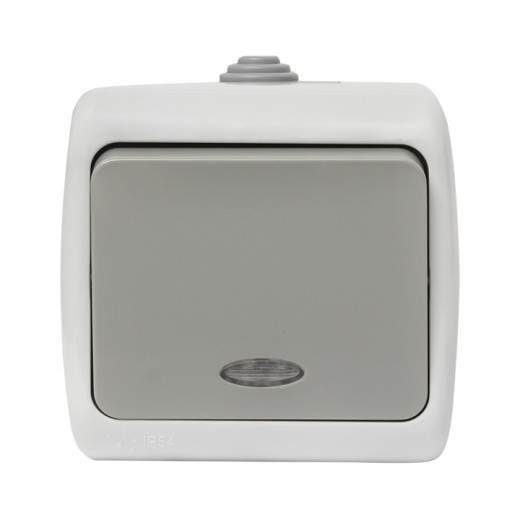 Мурманск Выключатель 1-клавишный с индикатором 10А IP54 серый EKF