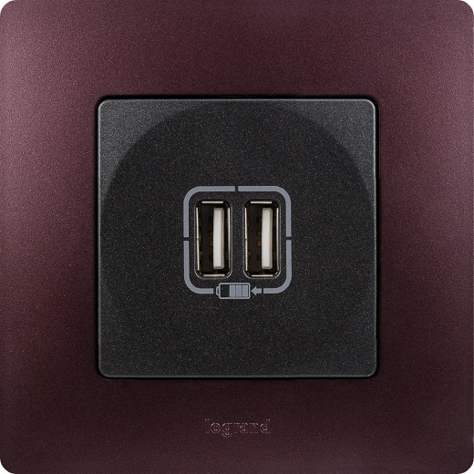 Зарядное устройство USB тип А / тип А - Legrand Etika - 3000мА 15Вт - антрацит