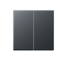 JUNG Центральная плата 2 группы стандарт термопласт матовый антрацит