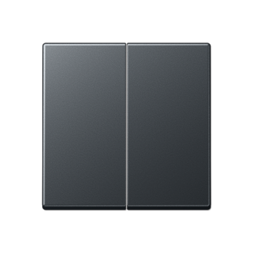 Центральная плата 2 группы стандарт, термопласт, матовый антрацит