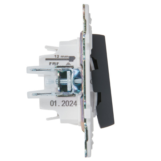 SKANDY Выключ. 2-кл. с инд. 10А SK-V09G граф. IEK