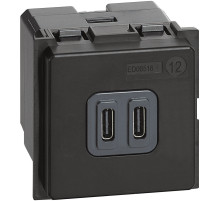 BT Living now Механизм Зарядное устройство USB Стандарты С-С 3000мА 2 мод.